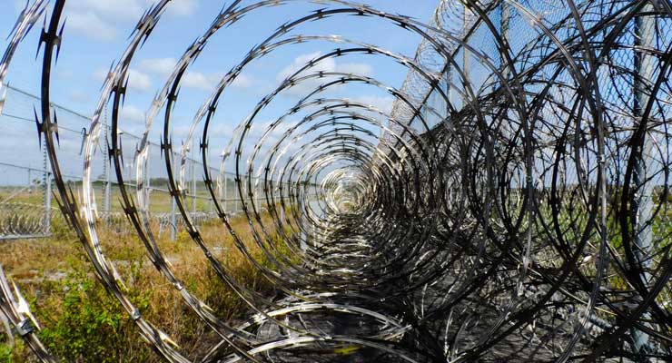 barbed wire