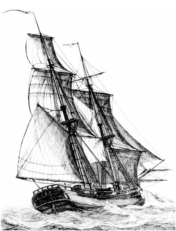 In November of 1774, Paine arrived in America after sailing on the ship called "London Packet". This is an engraving of the ship by Gerrit Groenwegen, from the Eberstadt Collection of Naval Engravings and Etchings, Naval History and Heritage Command.