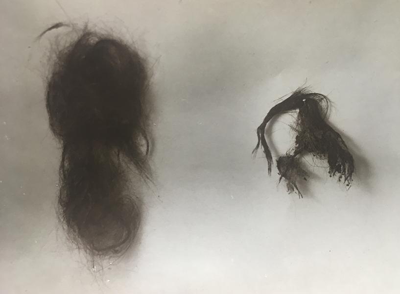 Paine's hair recovered in England by Moncure Conway and donated to the Thomas Paine Historical Association. It now forms part of the Thomas Paine National Historical Association Collection at Iona University.